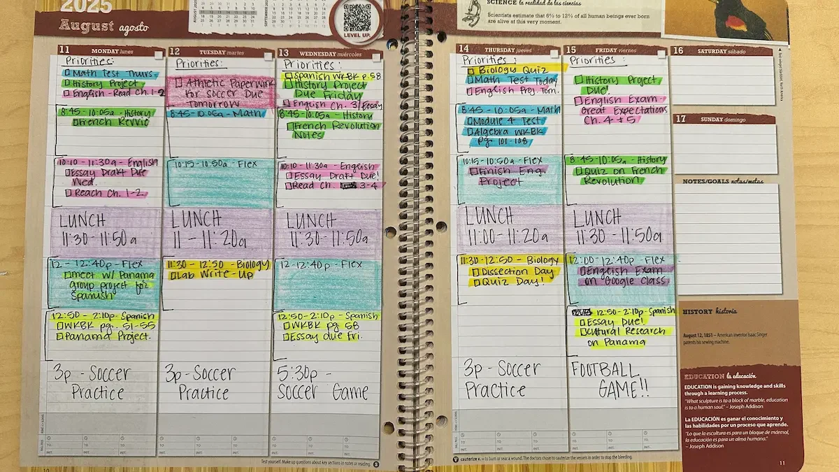 Weekly planner layout for online student.